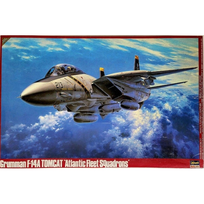 Hasegawa P19:3800 1:48 Grumman F-14A Tomcat Atlantic Fleet Squardrons Model Kit