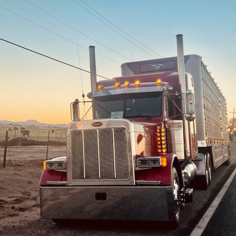 B12-10D-18-5123 18, Mitered, Blind Mount, Tow Hole