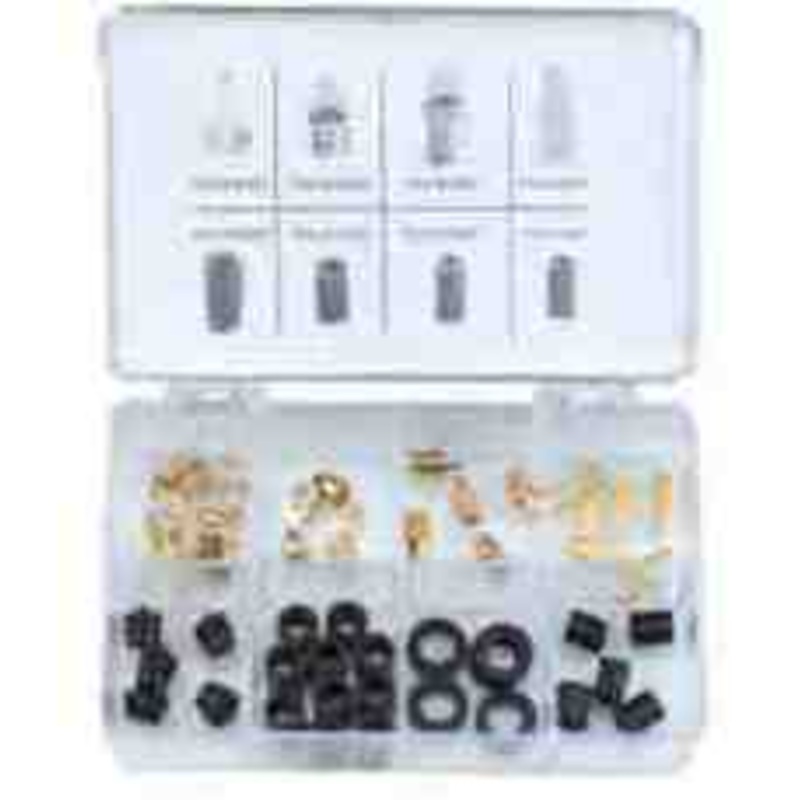 60 pc Charging Hose Seal & Depressor Assortment