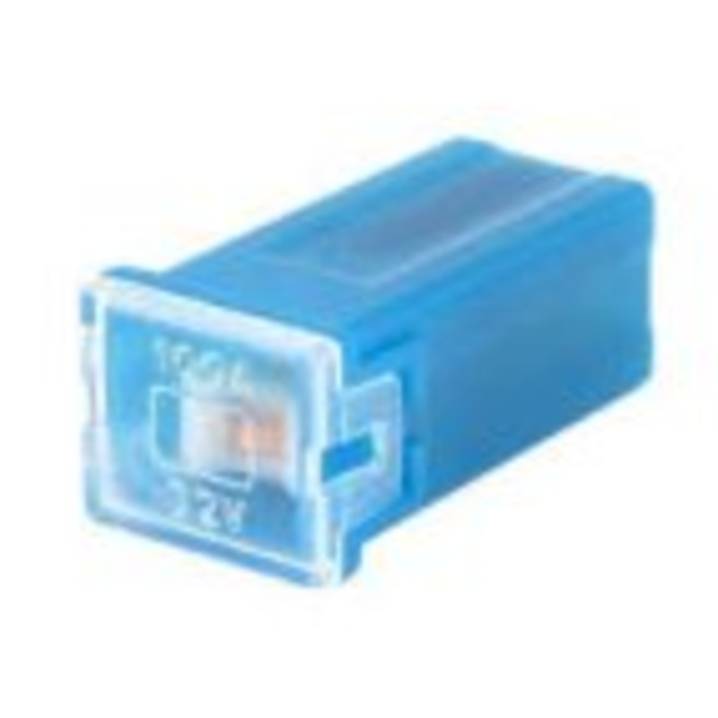 Mini Female Pal Fuses 100 amp