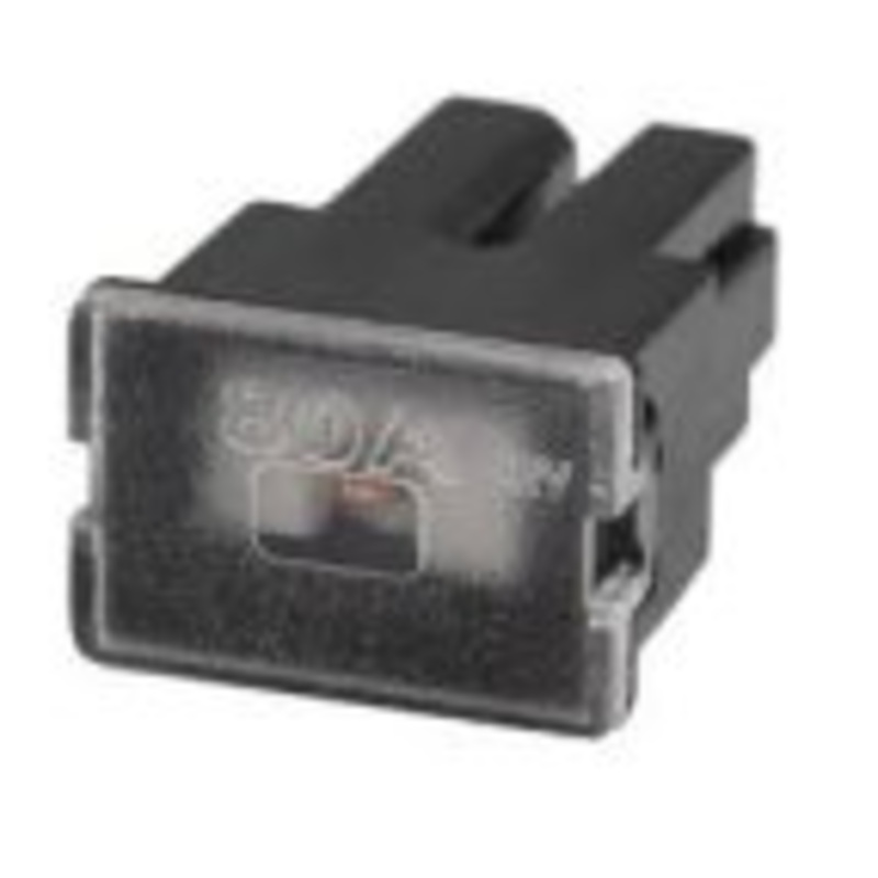 Female Pal Fuses 80 amp