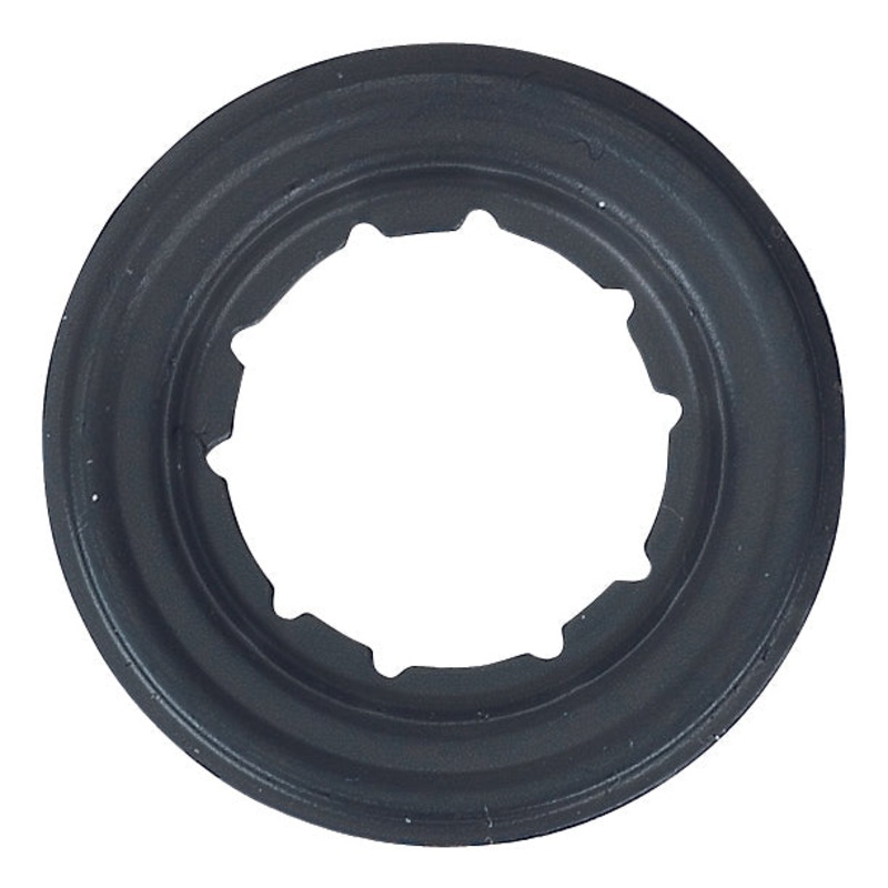 1208 RV2 Suction Port Gasket, 10 PK