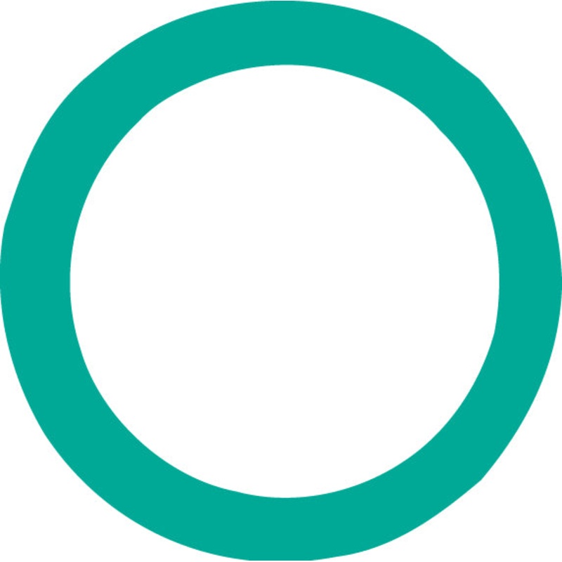 Ford Oval O-ring OEM HNBR Rubber, 10 PK