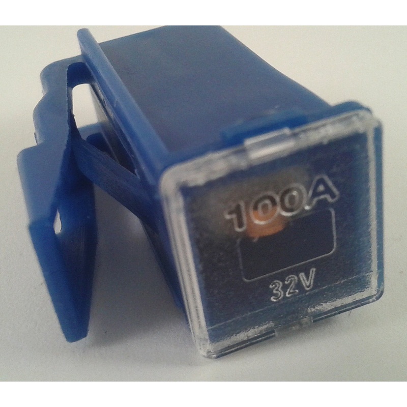 Locking Mini Female Pal Fuses 100 amp