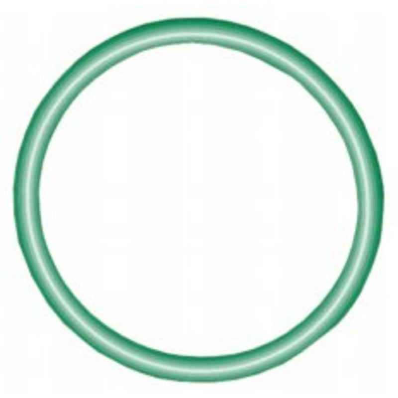 Nihon NVR Front Rotor Body O-Ring (Late Model) – 10 PK