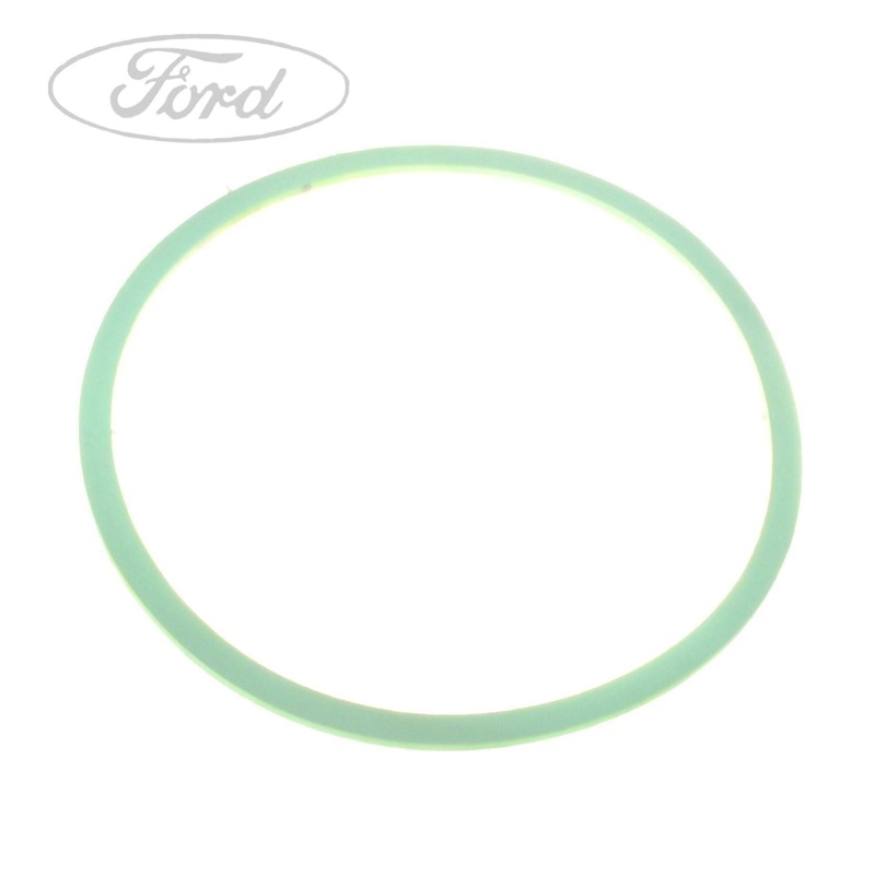 FUEL TANK PUMP GASKET