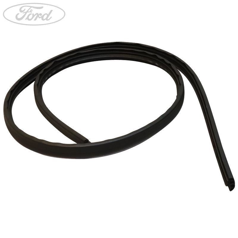 FIESTA REAR N/S DOOR WEATHERSTRIP SEAL 2012-