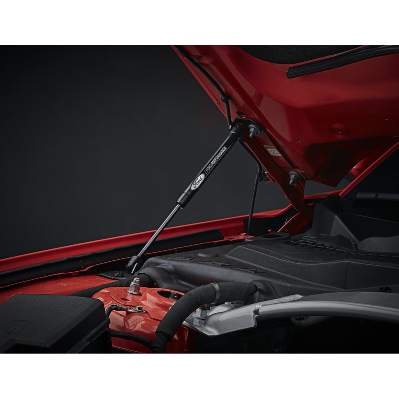 HOOD STRUT KIT WITH FITTING  03/2015