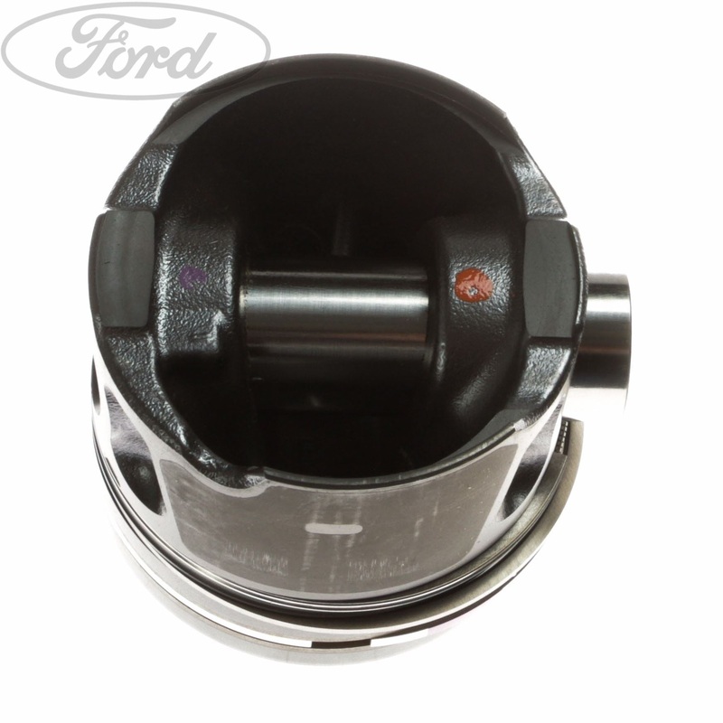 ENGINE PISTON & RING SET