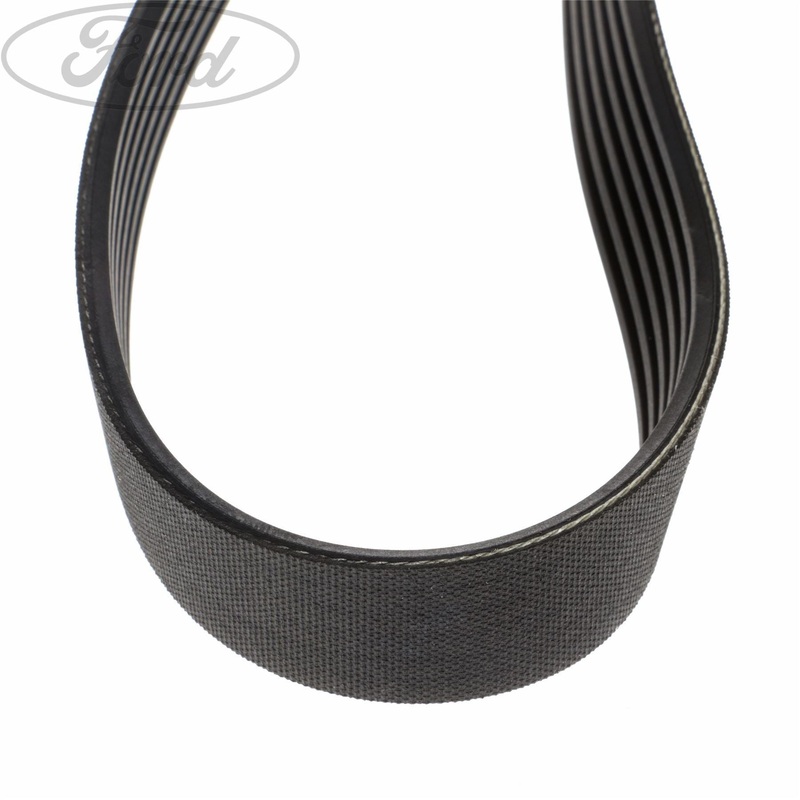 FOCUS DRIVE V BELT