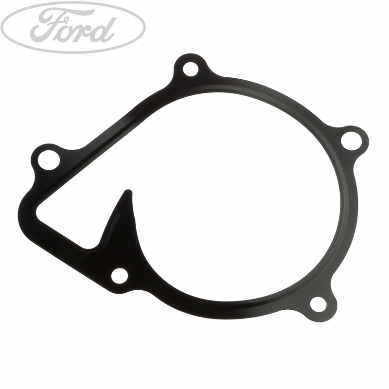 WATER PUMP GASKET