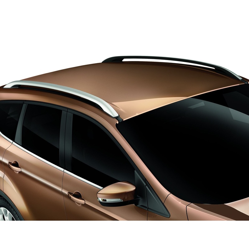 ROOF RAILS WITH FITTING  11/2012