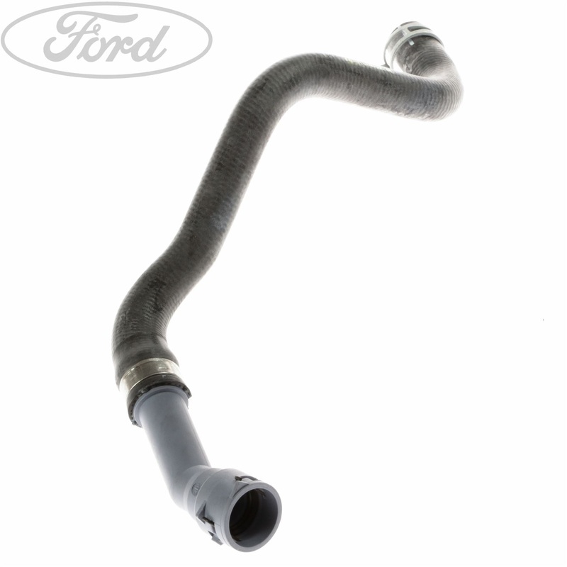 RADIATOR OUTLET HOSE