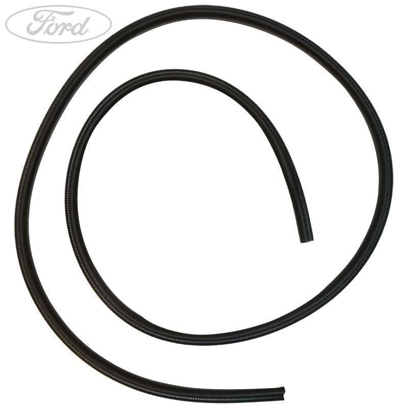FIESTA N/S OUTER SIDE PANEL SEAL 2015-
