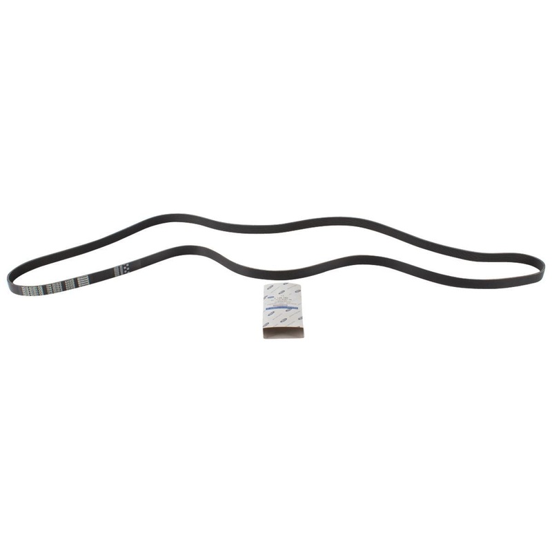 TRANSIT MOTORCRAFT DRIVE V BELT