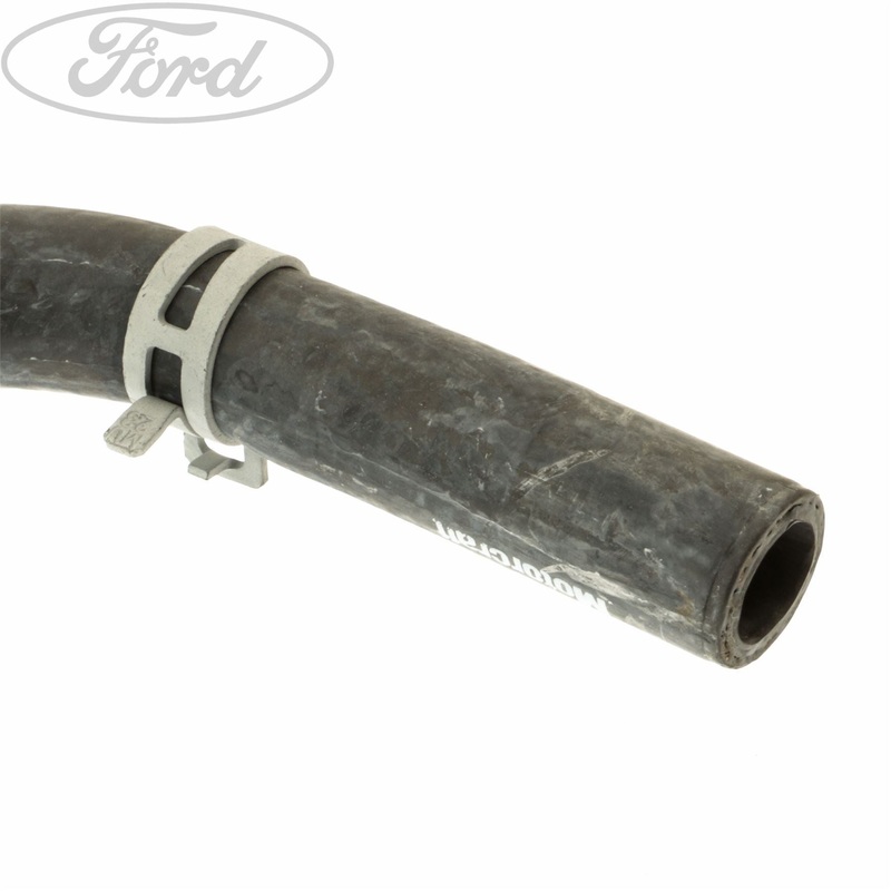 RADIATOR SUPPLY TANK HOSE