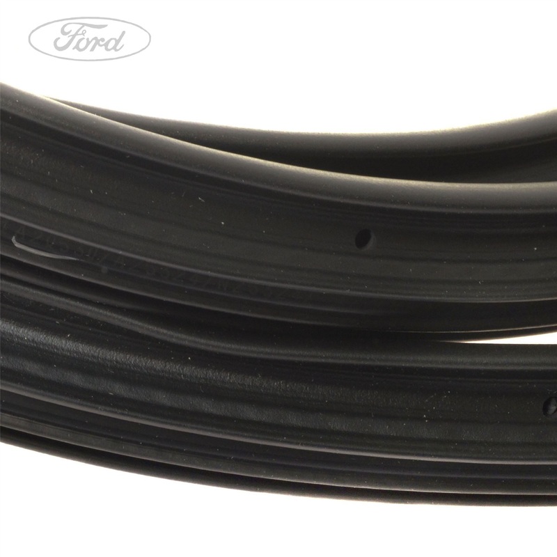 FOCUS REAR DOOR WEATHERSTRIP SEAL