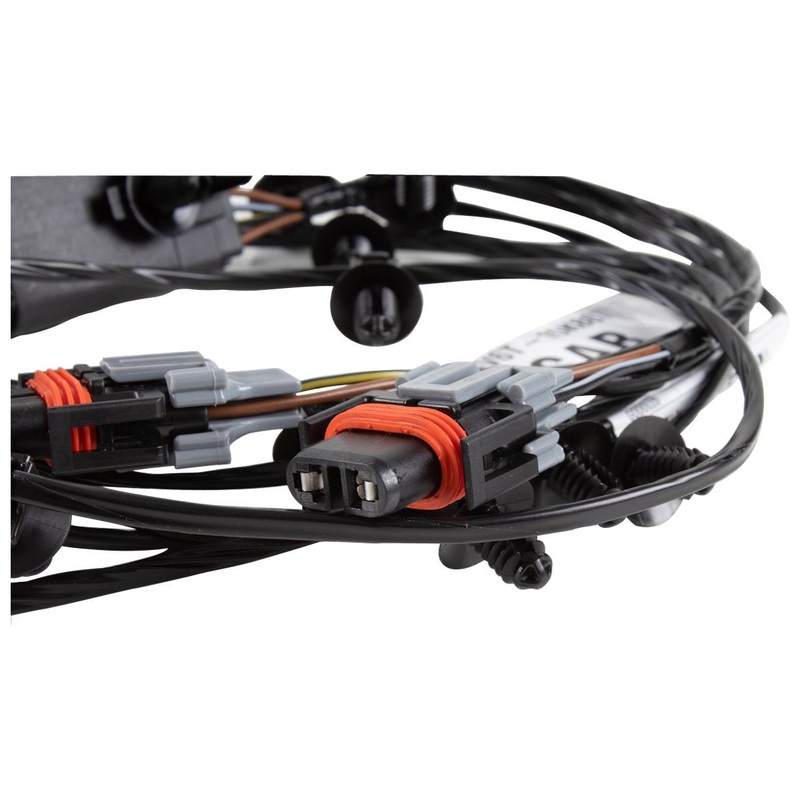 FOCUS FRONT FOG LAMP WIRING LOOM