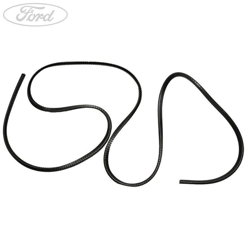 TRANSIT REAR DOOR GLASS WEATHERSTRIP SEAL DOUBLE CAB