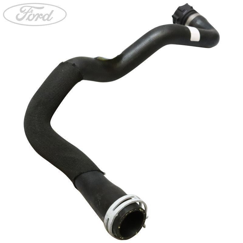 FOCUS 2.0 ECOBOOST BOTTOM LOWER RADIATOR HOSE 2011-