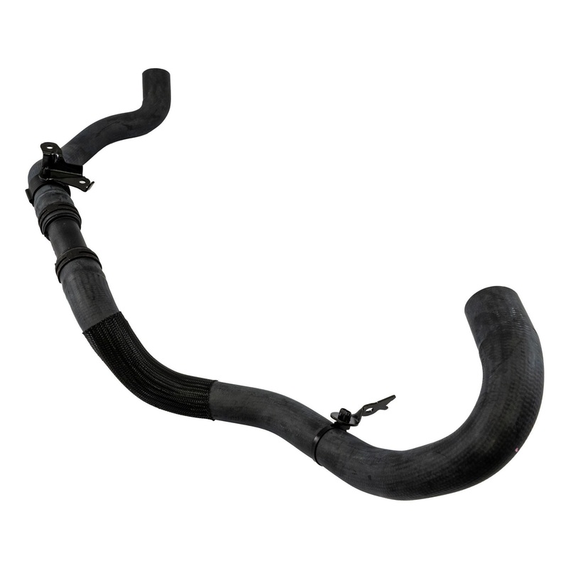 Focus 1.5 EcoBlue Lower Radiator Hose Manual 2020-Onwards