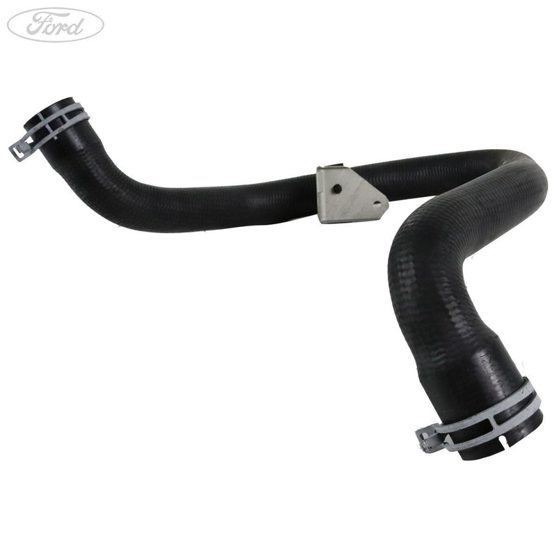 FOCUS ALL I3 ENGINES LOWER RADIATOR HOSE AUTO TRANS 15-