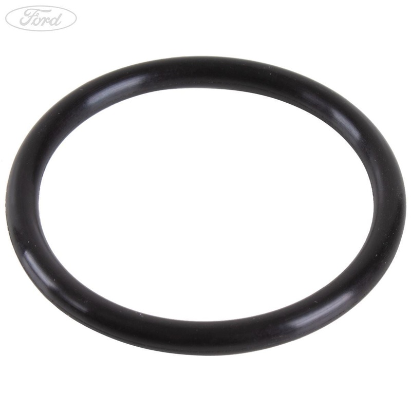THERMOSTAT/HOUSING & RELATED PARTS SEALING RING PACK OF 5