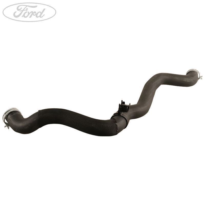 RANGER 2.2 DURATORQ TDCI BOTTOM RADIATOR HOSE 2015-